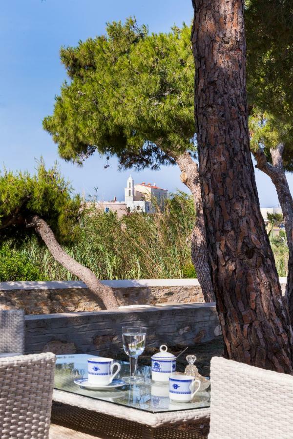 Dellagracia Mansion In Poseidonia Syros Vila Posidhonía Exterior foto
